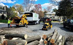 Pest Control for Lawns in Gallatin, TN